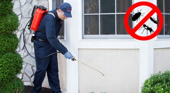 Çatalca Kemirgen İlaçlama böcek ilaçlama ve haşere kontrolü — ilaclama-tr.com